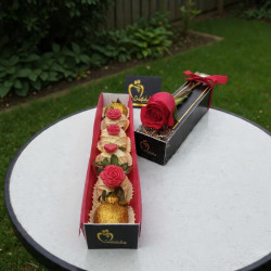 Estuche Armonía: Rosa Roja y Fresas con Chocolate Premium