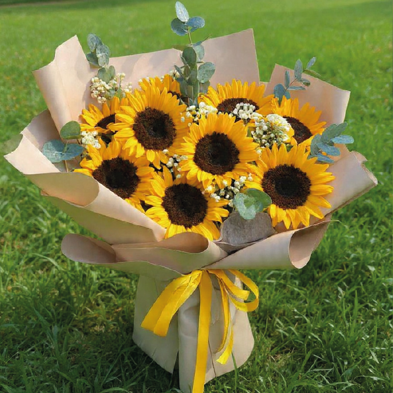 Bouquet de Girasoles Frescos en Valencia y Maracay