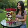 Arreglo Premium Old Parr: Rosas, Frutas y Fresas con Chocolate