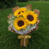 Bouquet de Girasoles Frescos en Valencia y Maracay